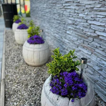 Kristal Slatina- Private Pool & Jacuzzi Bbq Βίλα Slatina Varoš